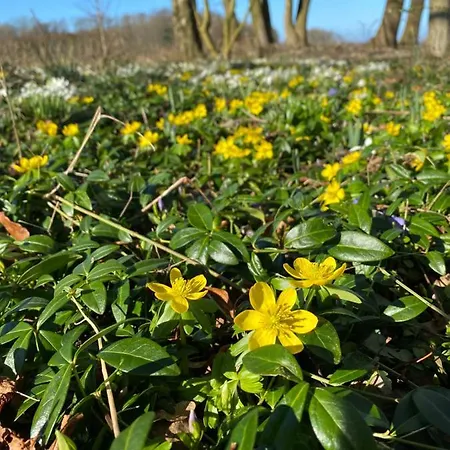 Prázdninový dům Vibaek *