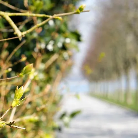 Vibaek Semesterbostad